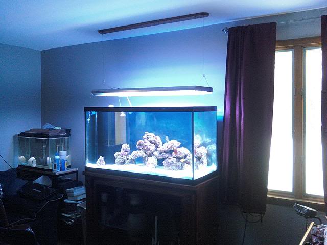 How Do You Hang Your Lights Looking For Ideas Page 3 Reef2reef Saler And Reef Aquarium Forum - Hanging Aquarium Light For Ceiling