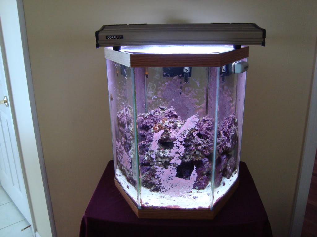 Hexagon fish tank 30 gallon - 🧡 Understand and buy 40 gallon cheap online.