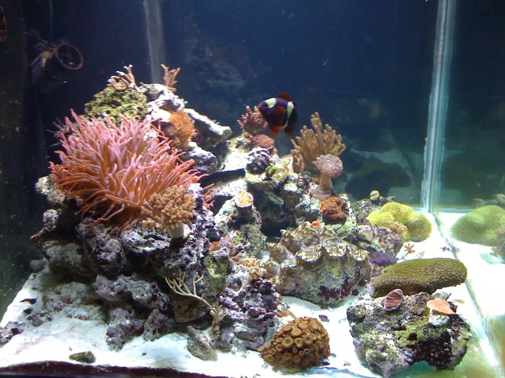 aquarium005.jpg