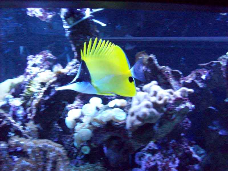 Aquarium014.jpg