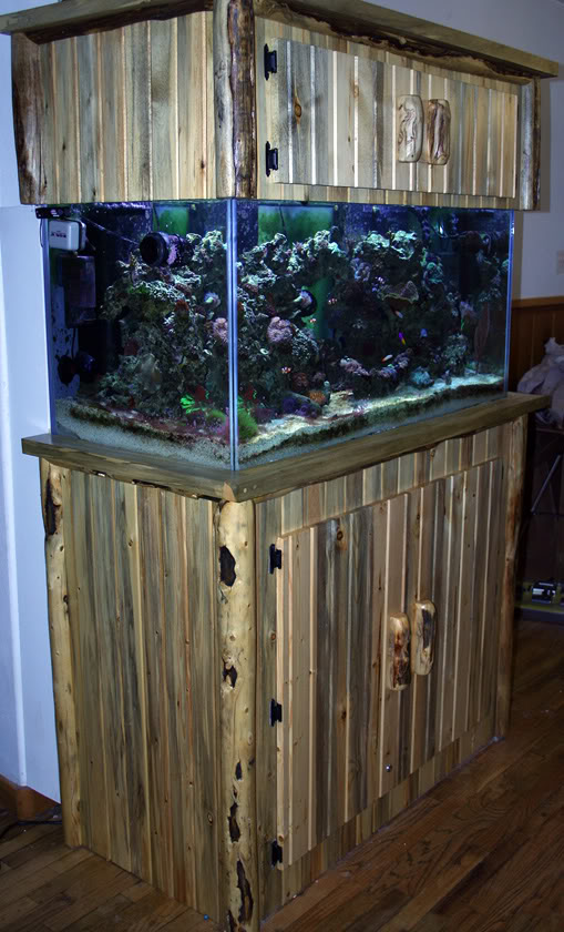 Show Off Your Custom Wood Canopies And Stands Reef2reef