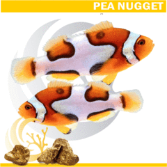 NuggetPicasso_medium_zps3nmzi3lh.png