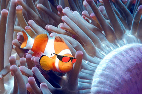 Clownfish_shades.jpg