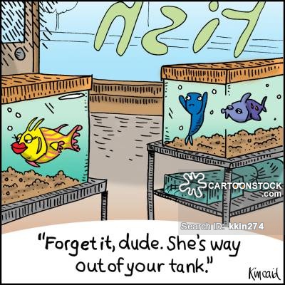 animals-fish-aquarium-fish_tanks-pet_store-guppy-kkin274_low.jpg