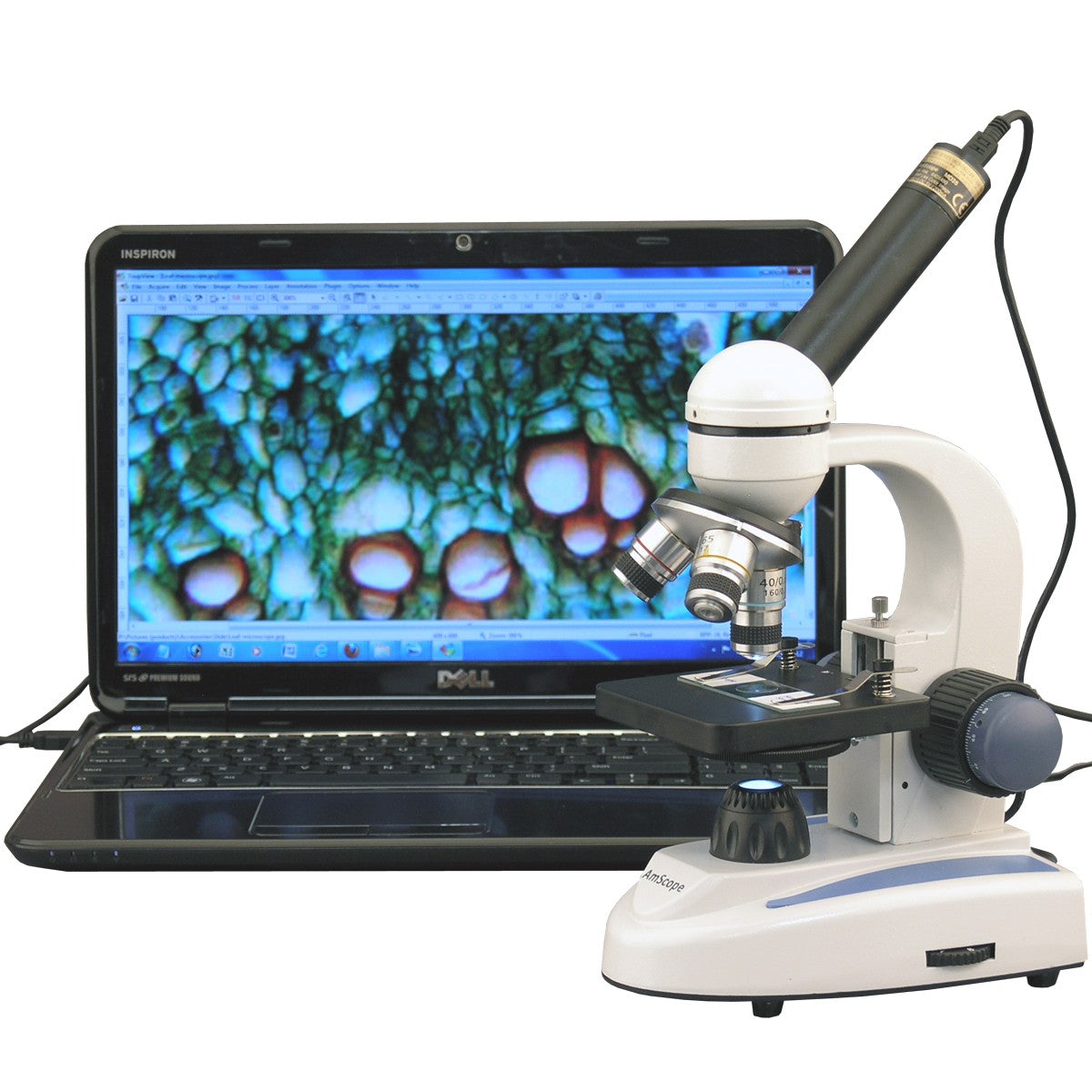 microscopecentral.com
