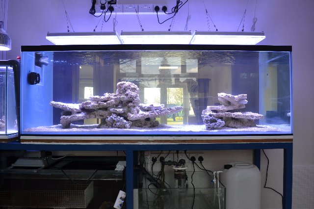 Orphek-Atlantik-aquarium-led-lighting-in-the-UK.jpg