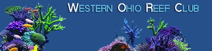 Western-Ohio-Reef-Club-frag-swap.jpg