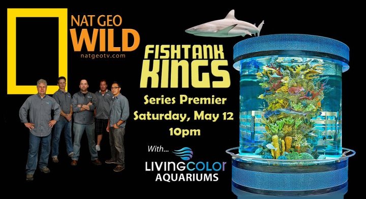 Fishtank Kings - National Geographic releasing new aquarium reality show - ...