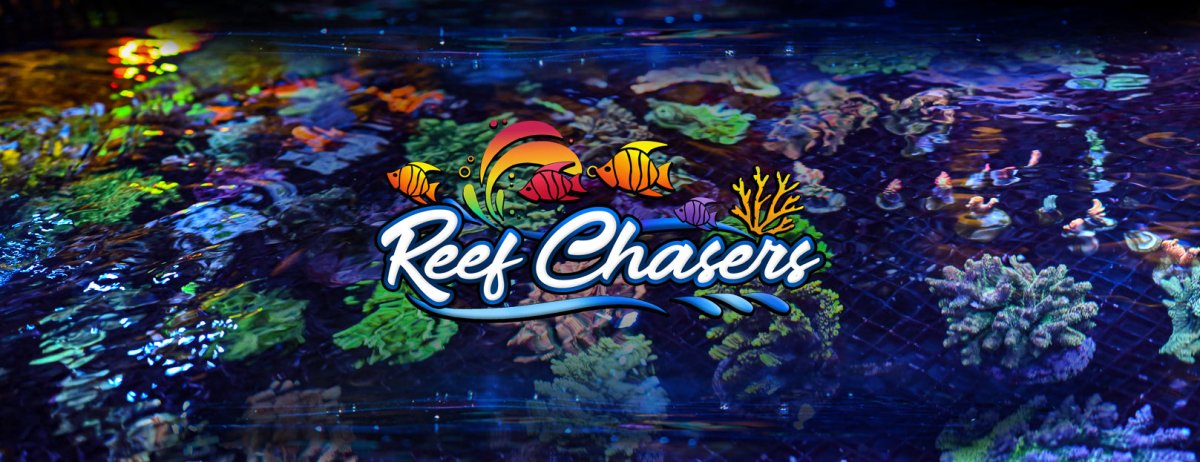 reefchasers.com