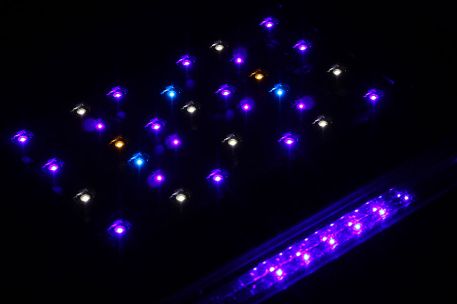 LEDs.jpg