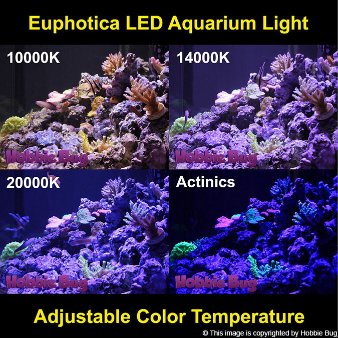 color_temperature_euphotica_aquarium_light.jpg