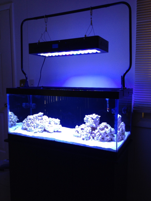 How Do You Hang Your Lights Reef2reef Saler And Reef Aquarium Forum - Hanging Aquarium Light For Ceiling