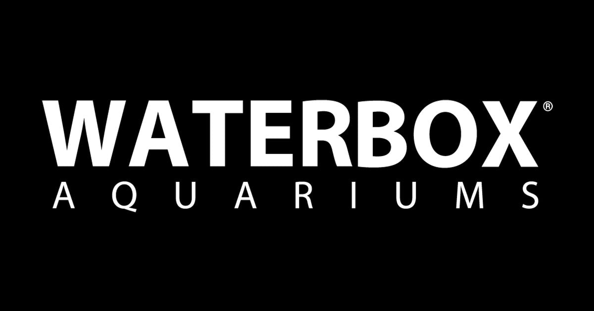 waterboxaquariums.com