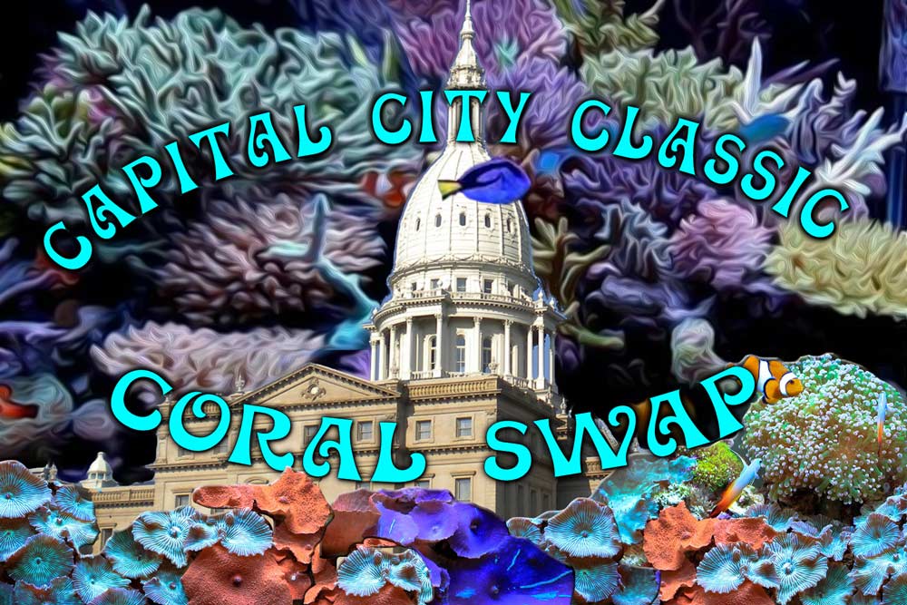 capital-city-swap.jpg