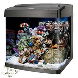 Coralife-14-Gallon-BioCube-Aquarium-99.jpg
