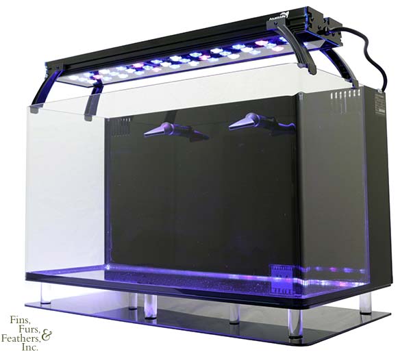 Innovative-Marine-Nuvo-Aquarium-16-Gallon-Black-w-AquaticLife-24-Inch-36-Watt-LED-Light-Fixture-99.jpg