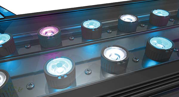 AquaticLife-24-Inch-24-Watt-Expandable-LED-Light-Fixture-(8-x-White-12-x-Blue-4-x-Purple)-96.jpg