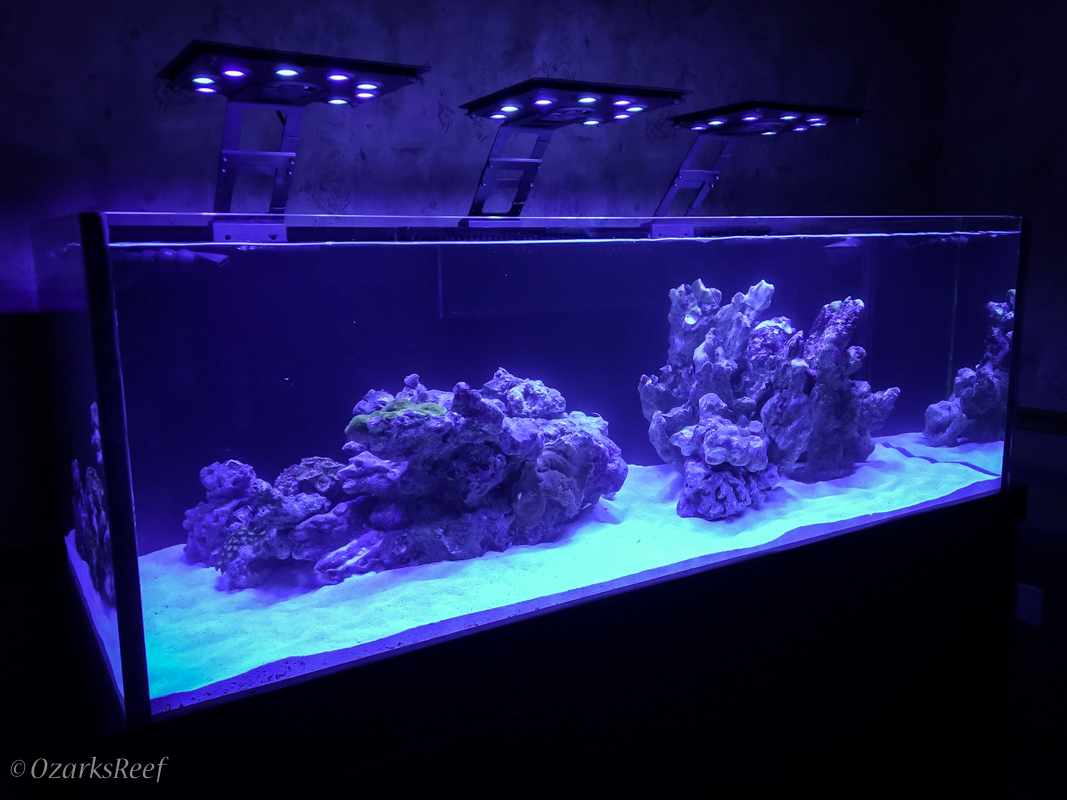 Aquarium-40.jpg