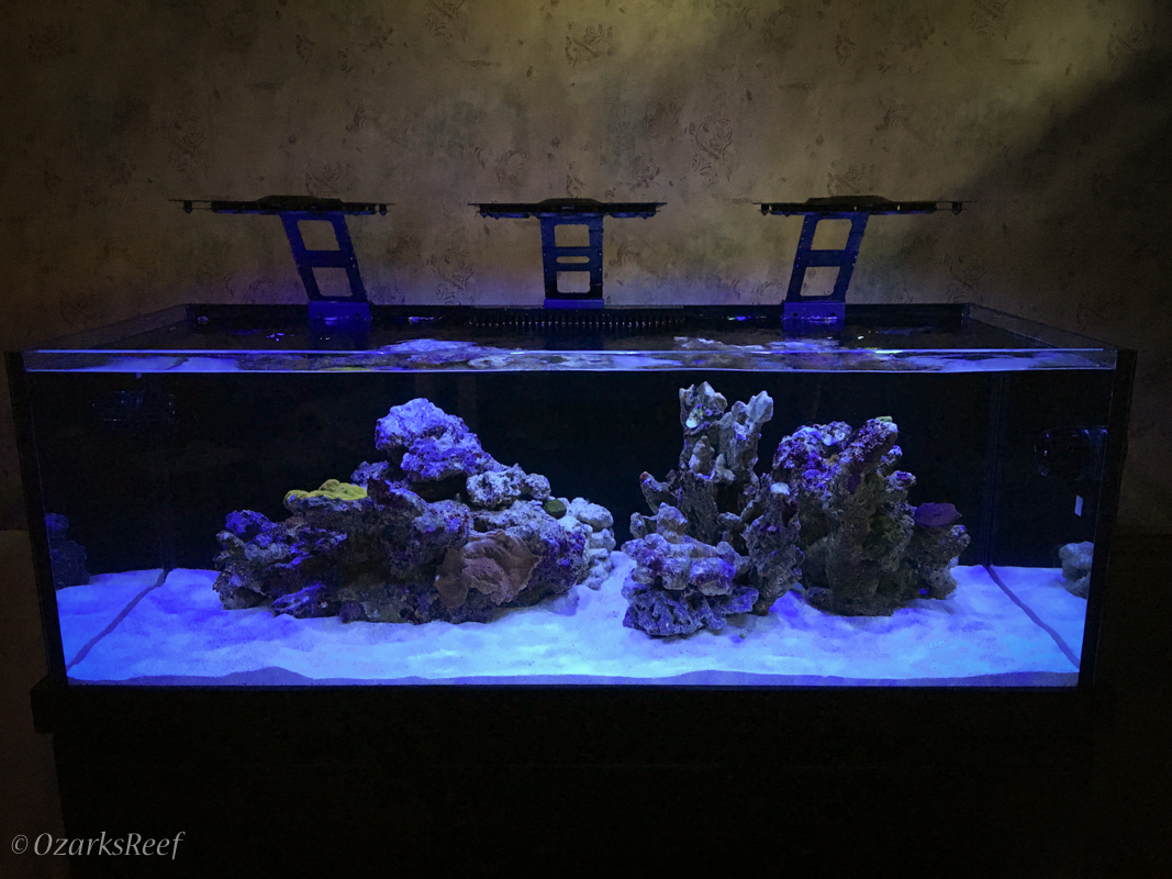 Aquarium-52.jpg