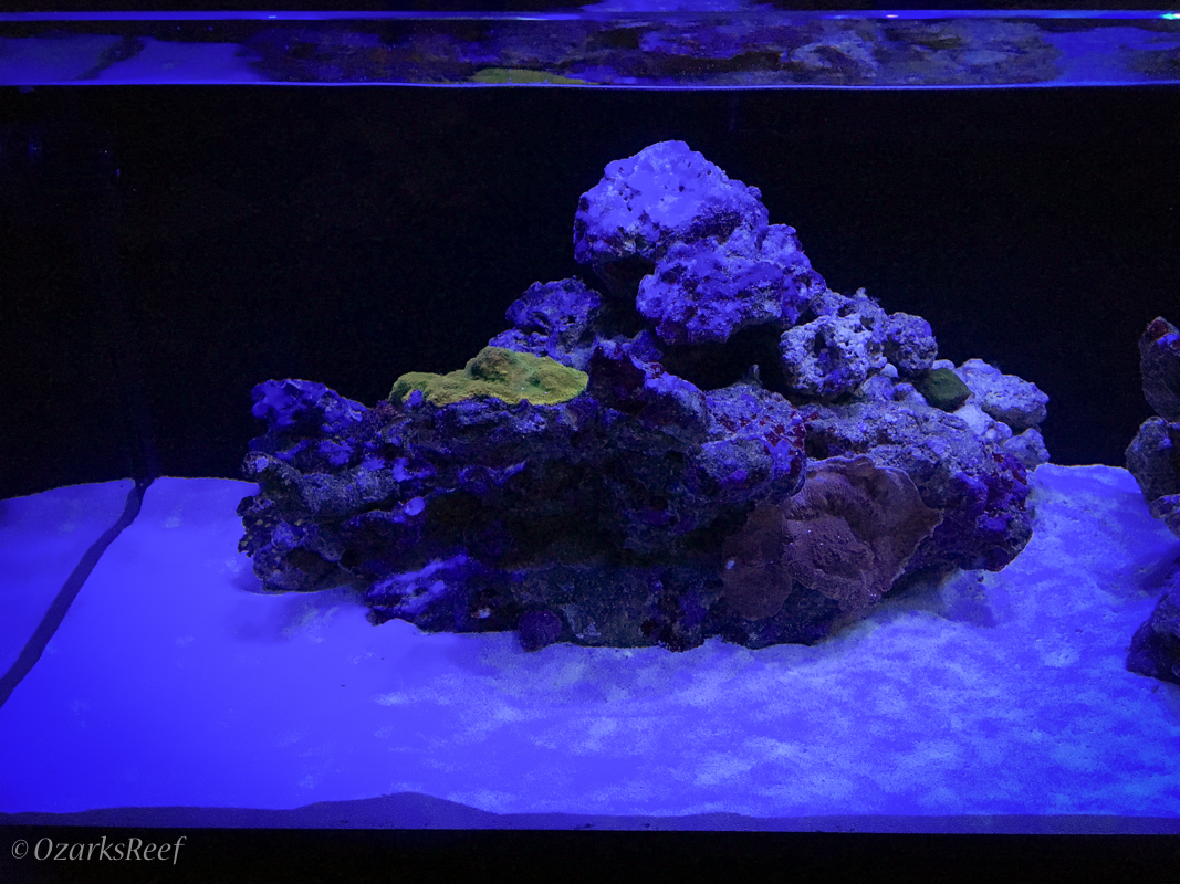 Aquarium-59.jpg