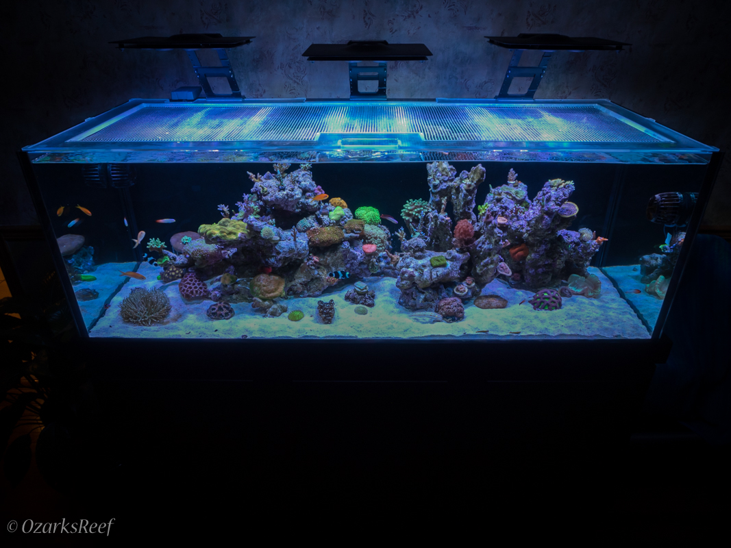 Aquarium-142.jpg