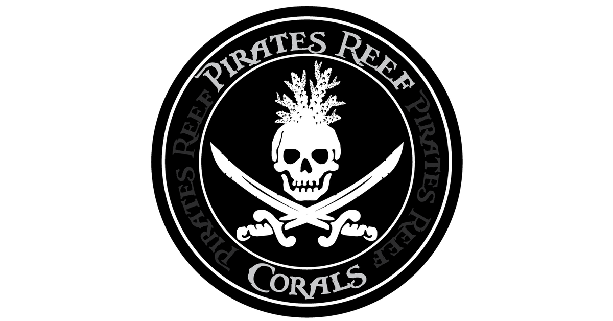 www.piratesreefcorals.com