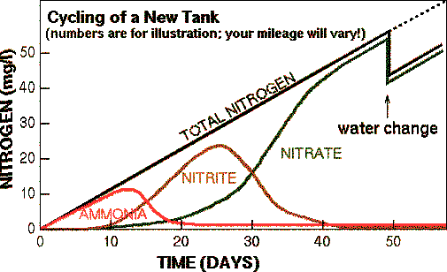 fish-tank-nitrogen-cycle.gif
