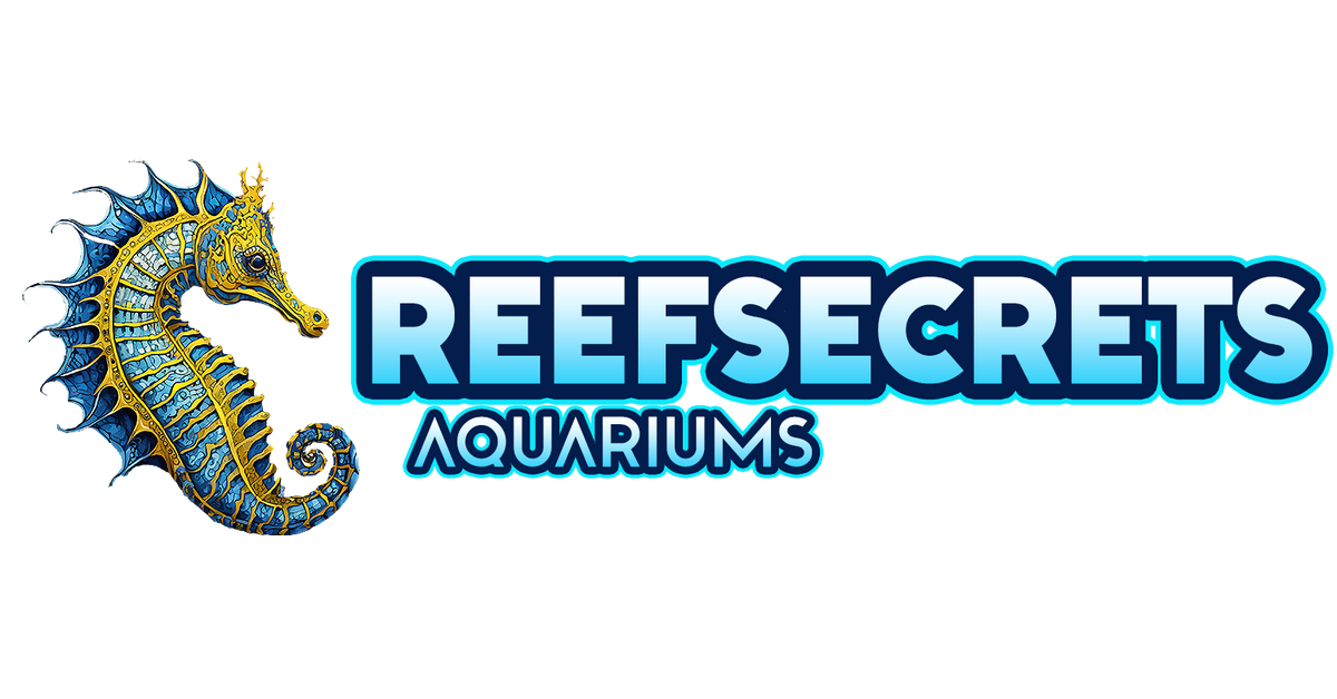 www.reefsecrets.com.au