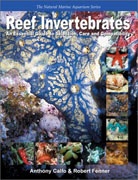 Book180_ReefInvertebrates.jpg