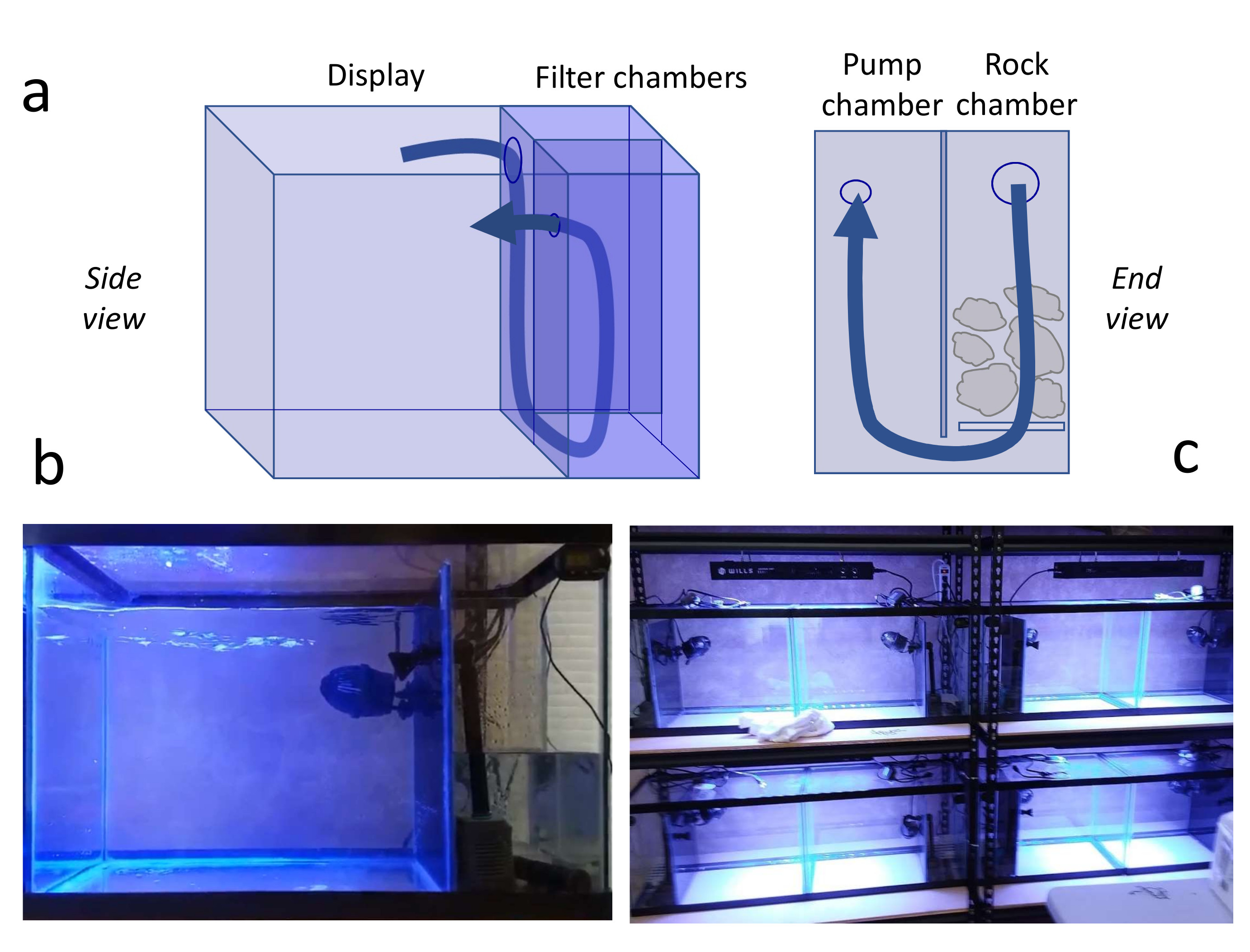 Figure 1: Diagram showing nano tanks built for these experiments.