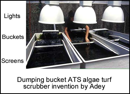 dumping-bucket-ats-algae-turf-scrubber.jpg