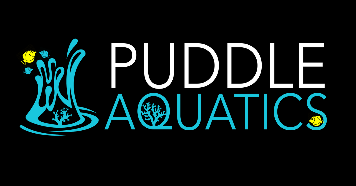 puddleaquatics.com