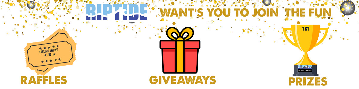 raffles_giveaways_and_prizes1.0.png