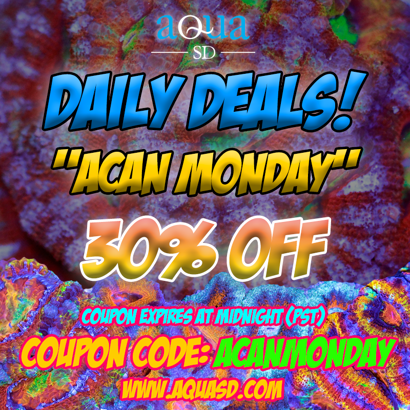 DailyDeals-AcanMonday.png