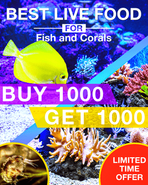 aquariumdepot.com