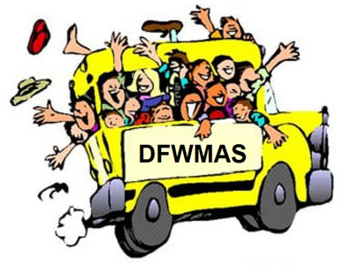 www.dfwmas.org