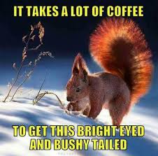 Coffee and Quotes - It takes a lot of coffee to be this bright-eyed and bushy  tailed. | Facebook