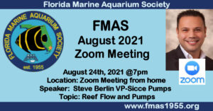 FMAS-FB-Aug-2021-300x157.jpg