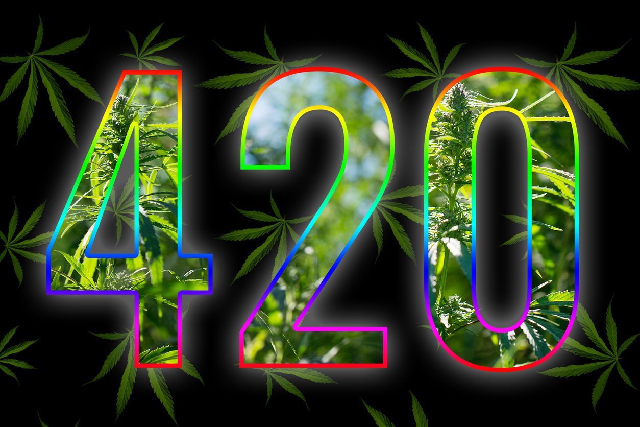 Everything you need to know about 420 | Cannabis wiki