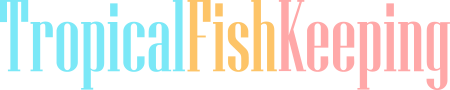 www.tropicalfishkeeping.com