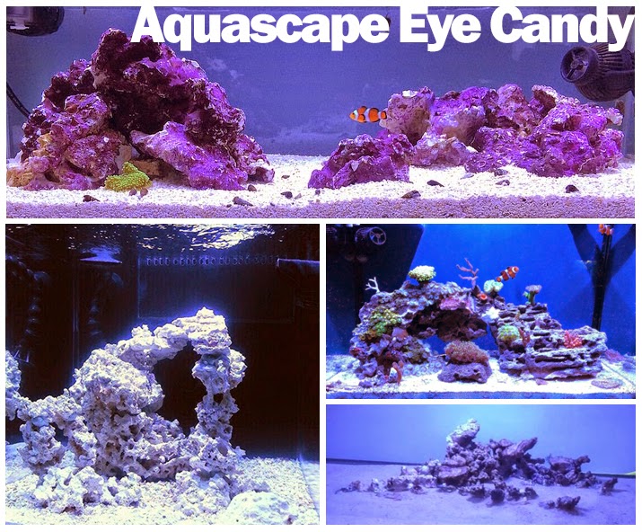 Aquascape+Eye+Candy.jpg