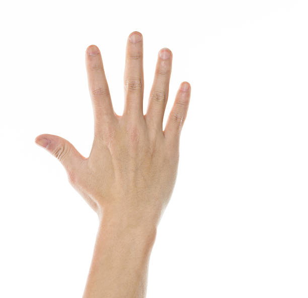 Closeup Of Man Palm Isolated On White Background Stock Photo - Download  Image Now - Back Of Hand, Right Handed, Men - iStock