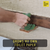 Toilet Paper Gardening GIF by 60 Second Docs