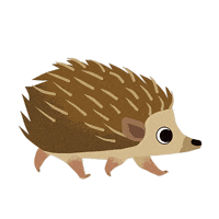 run hedgehog GIF by Puffin Rock