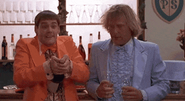 dumb and dumber comedy GIF