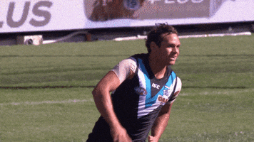 pafc GIF by Port Adelaide FC
