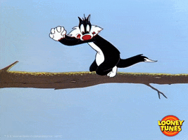 cat goodbye GIF by Looney Tunes