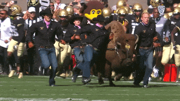 University Of Colorado Boulder Running GIF by Pac-12 Network