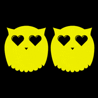 owl city valentine GIF by zck_kntr