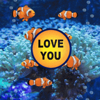 I Love You Coral GIF